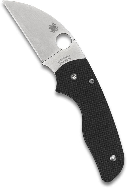 Spyderco Lil' Native G-10 Wharncliffe 2.47" Plain Edge Folding Pocket Knife (C230GPWC)