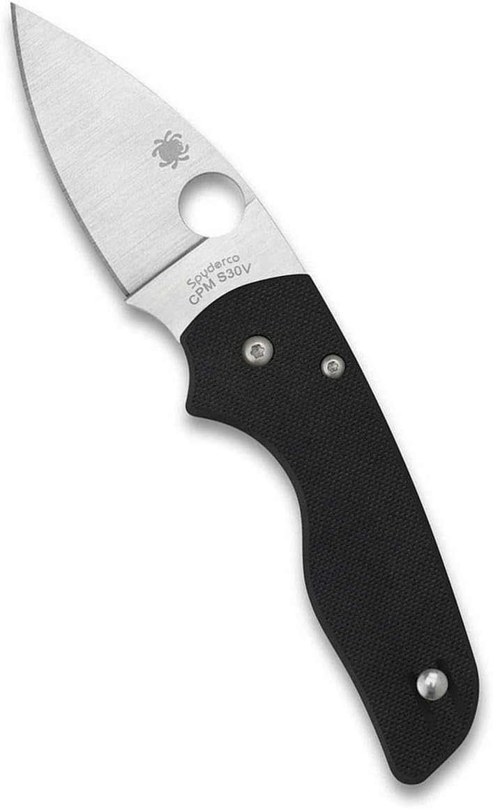 Spyderco Lil' Native G-10 Black 2.42" Plain Edge Folding Pocket Knife (C230GP)