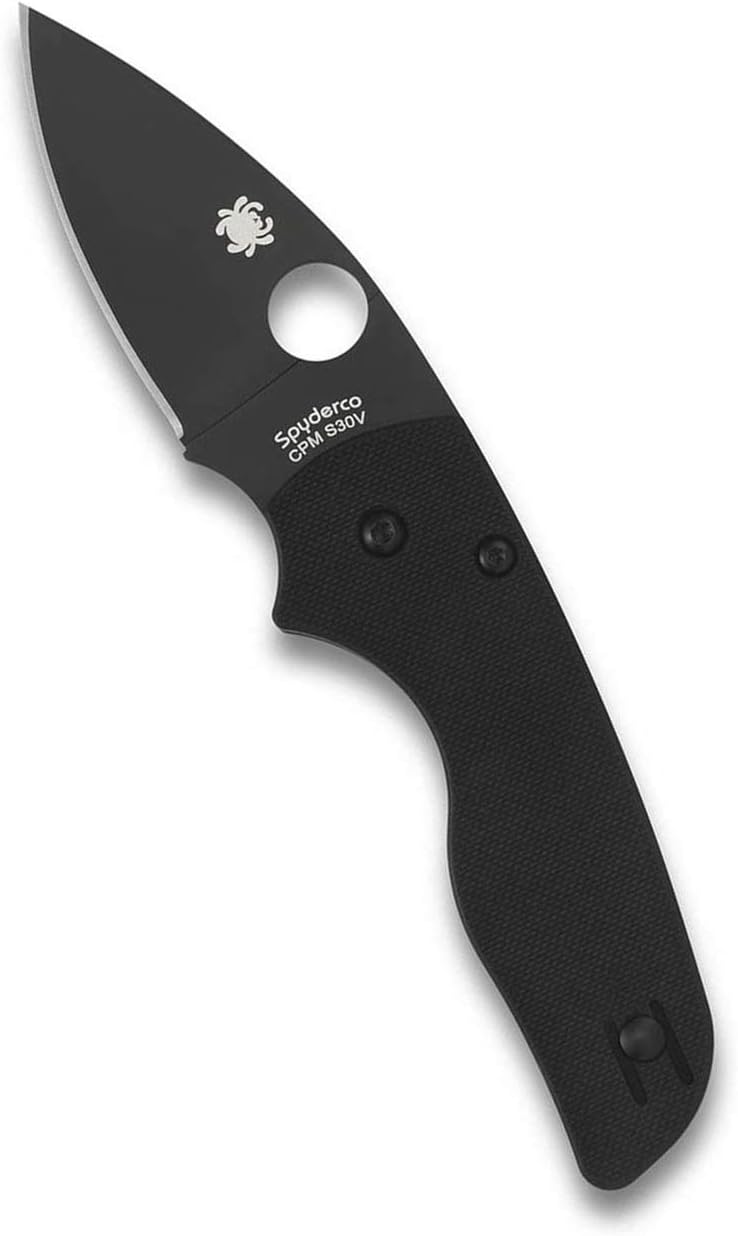 Spyderco Lil' Native G-10 Black 2.42" Plain Edge Folding Pocket Knife (C230GPBBK)