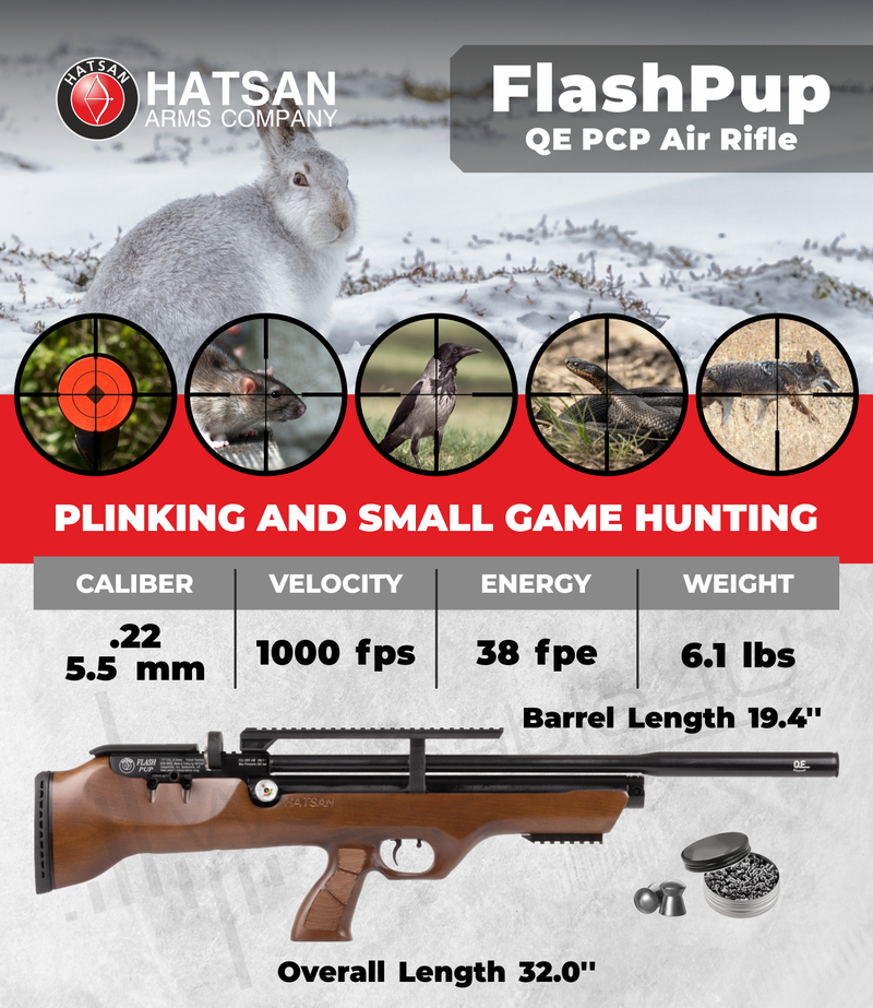 Hatsan FlashPupQE QuietEnergy QE PCP Air Rifle